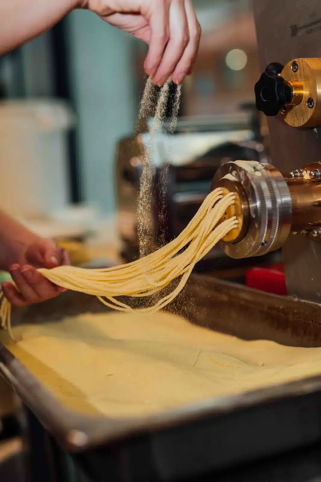 Pâtes fraîches qui sortent de la machine